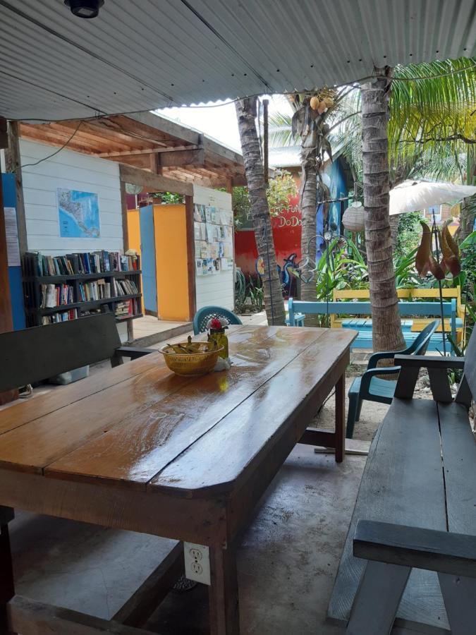 The Funky Dodo Backpackers Hostel *