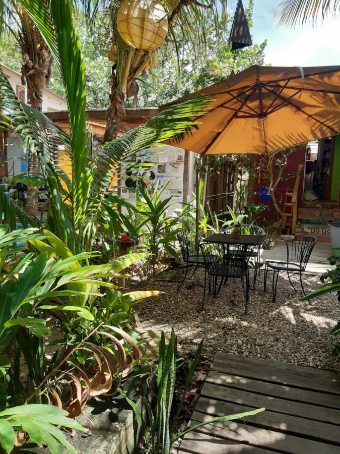 The Funky Dodo Backpackers *