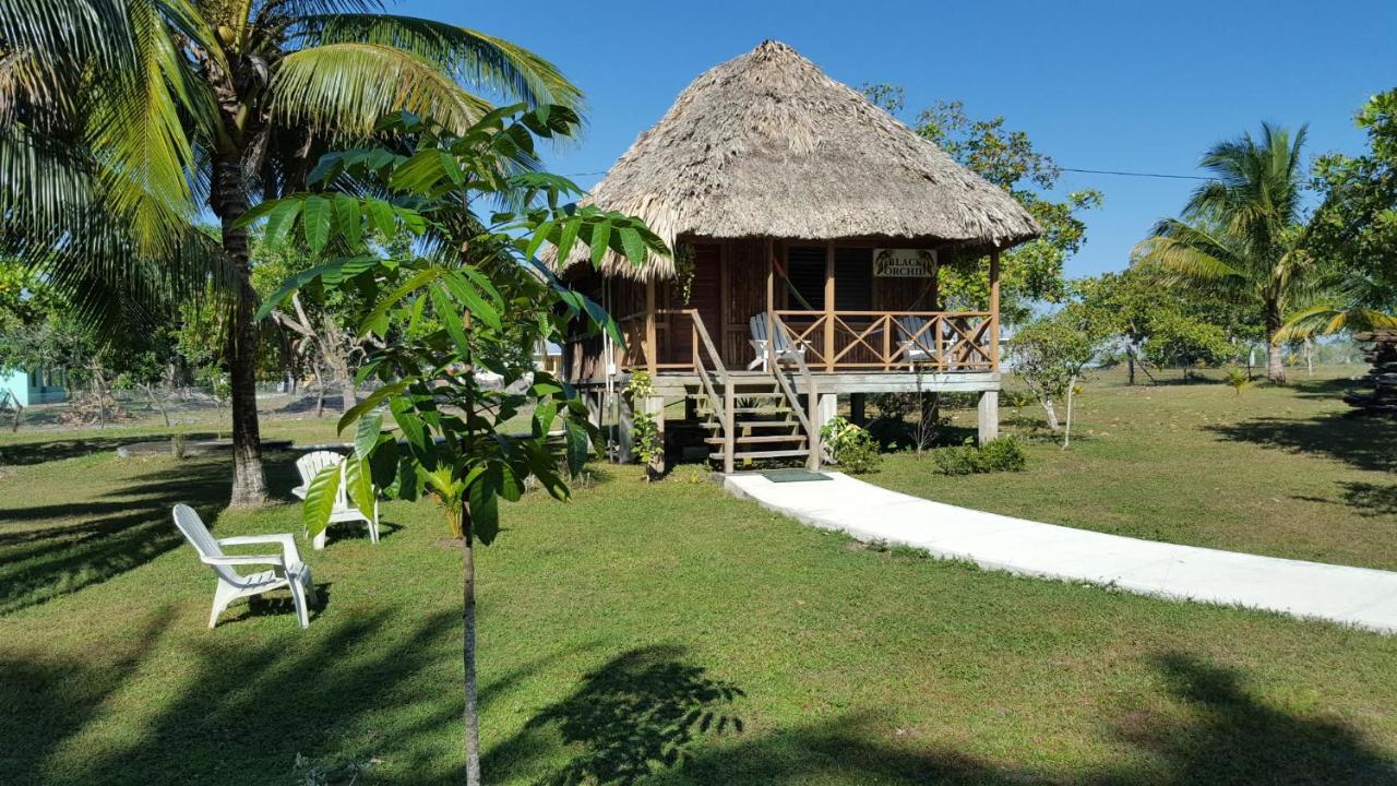 Lodge Nature