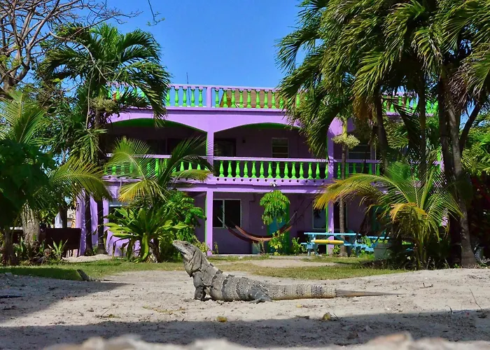 Hostel La Vista