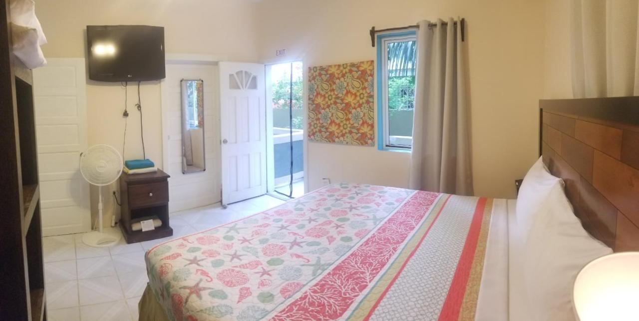 Belize Tropical Dream