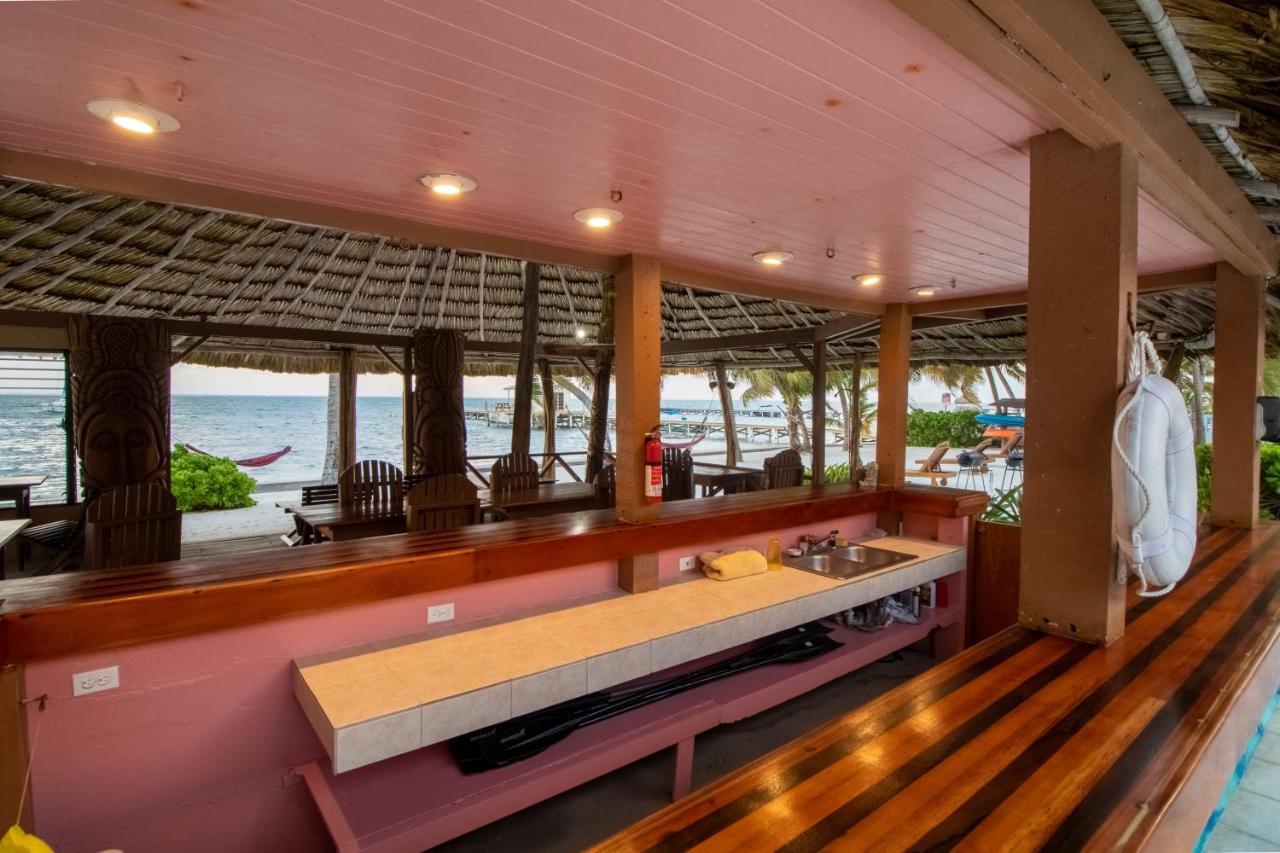 Frangipani 8 At Caribe Island Gold Standard Certified *