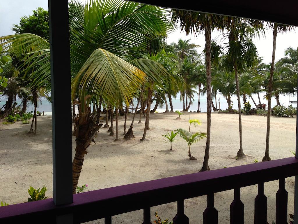 Holiday home Turtle San Pedro (Ambergris Caye)