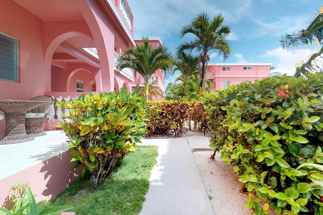 Hibiscus @ Caribe Island * San Pedro (Ambergris Caye)