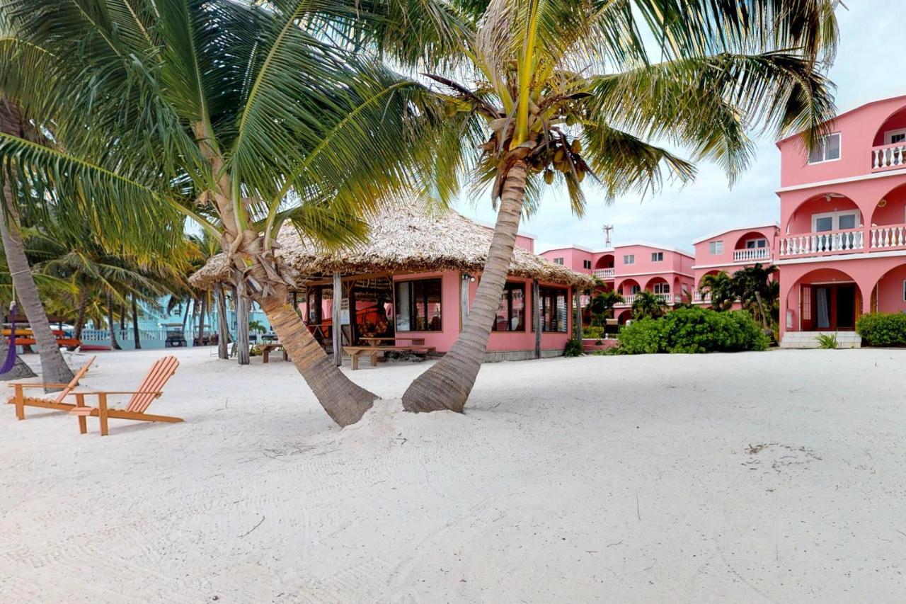 Caribbean Lily @ Caribe Island Hotel