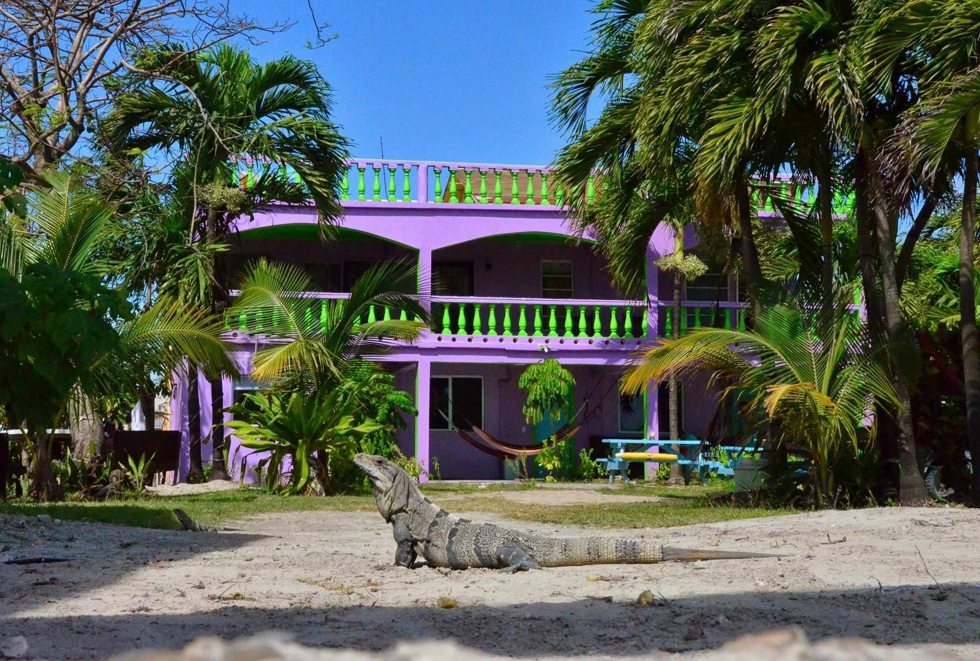 La Vista Hotel