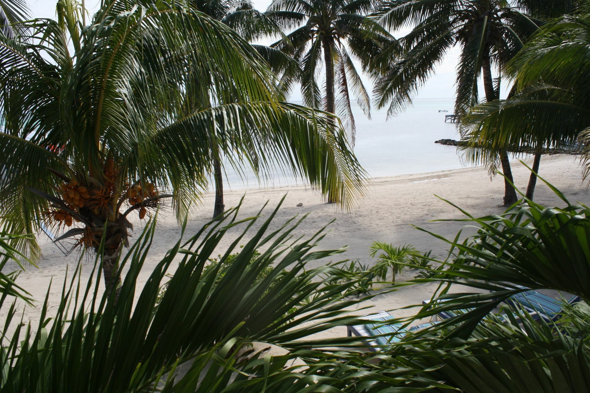 Hotel Holiday Hotel 3*